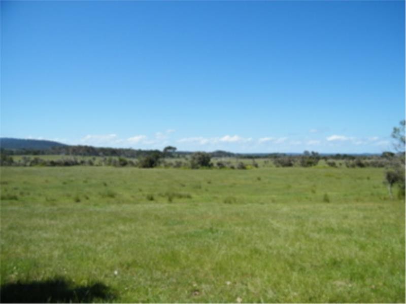 L2 Ficifolia Road, Peaceful Bay WA 6333