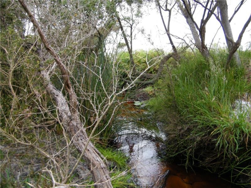 L2 Ficifolia Road, Peaceful Bay WA 6333