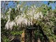 199 Deep Creek Road, Hannam Vale NSW 2443