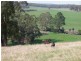 140 Connection Road, Carrajung VIC 3844
