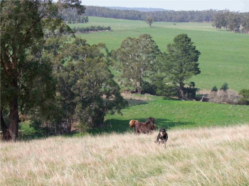 140 Connection Road, Carrajung VIC 3844