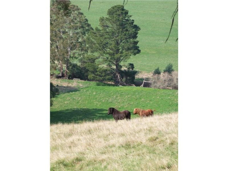 140 Connection Road, Carrajung VIC 3844