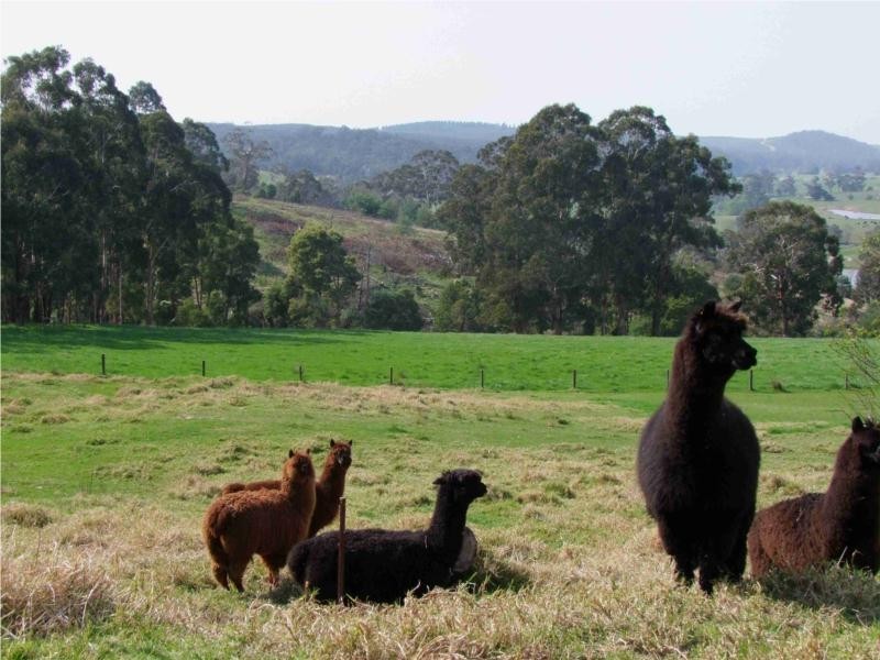 140 Connection Road, Carrajung VIC 3844