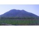 253 EAST EURI ROAD, Bowen QLD 4805