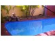 253 EAST EURI ROAD, Bowen QLD 4805
