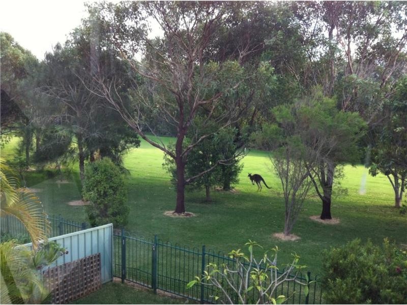 68 Marbuk Avenue, Port Macquarie NSW 2444