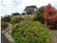 17 Erythos Grove, St Helens TAS 7216
