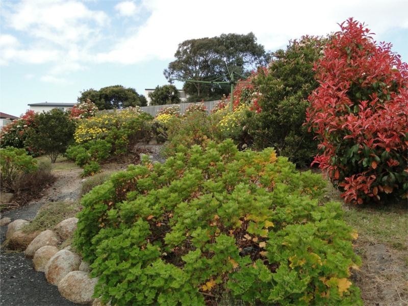 17 Erythos Grove, St Helens TAS 7216