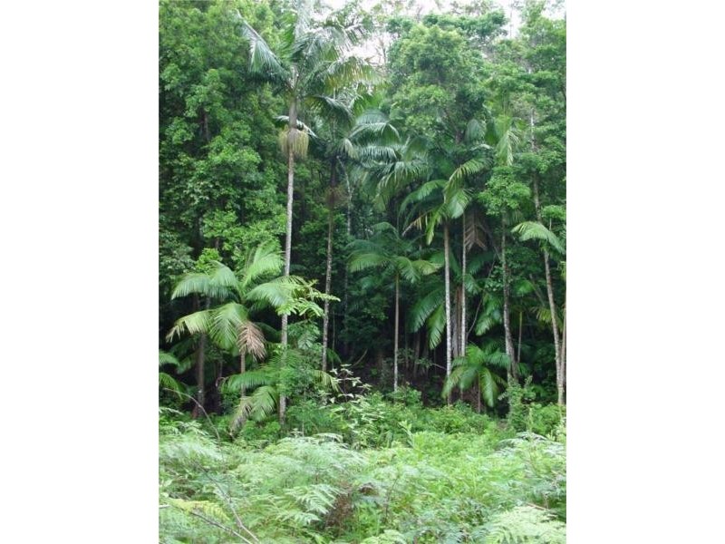 516 Owens Road, Martinsville NSW 2265