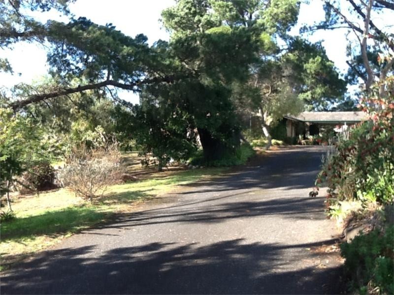 3 Manor Crescent, Highton VIC 3216