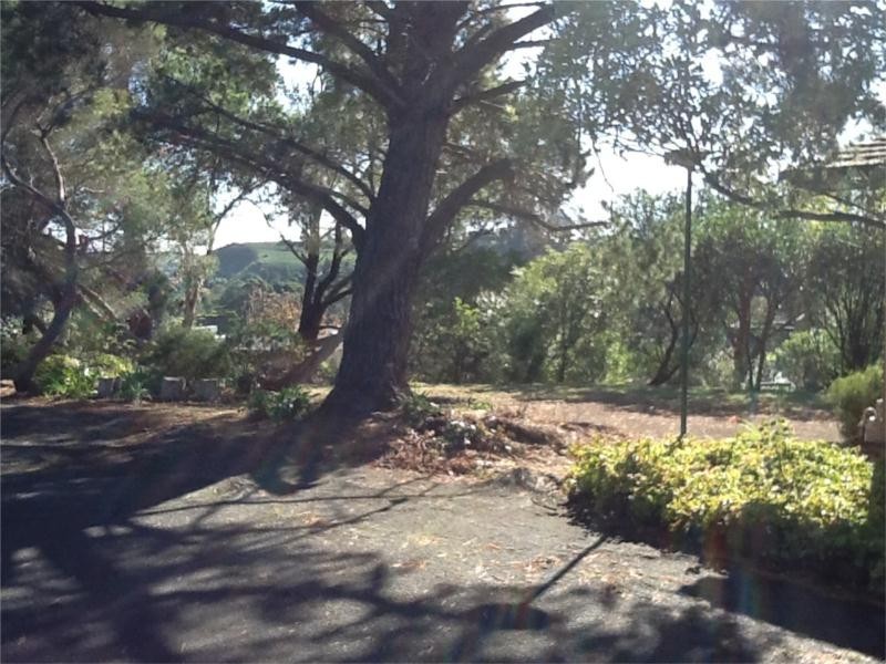 3 Manor Crescent, Highton VIC 3216