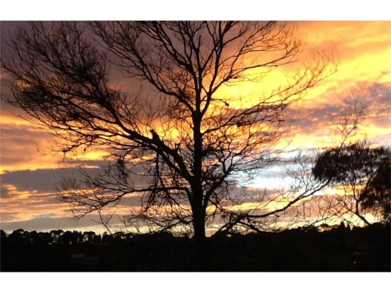 3 Manor Crescent, Highton VIC 3216