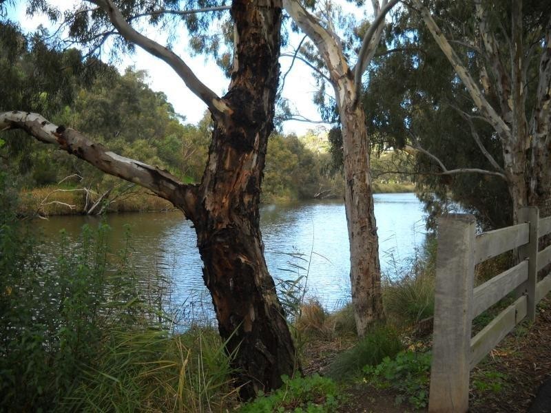 3 Manor Crescent, Highton VIC 3216