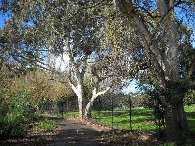 3 Manor Crescent, Highton VIC 3216