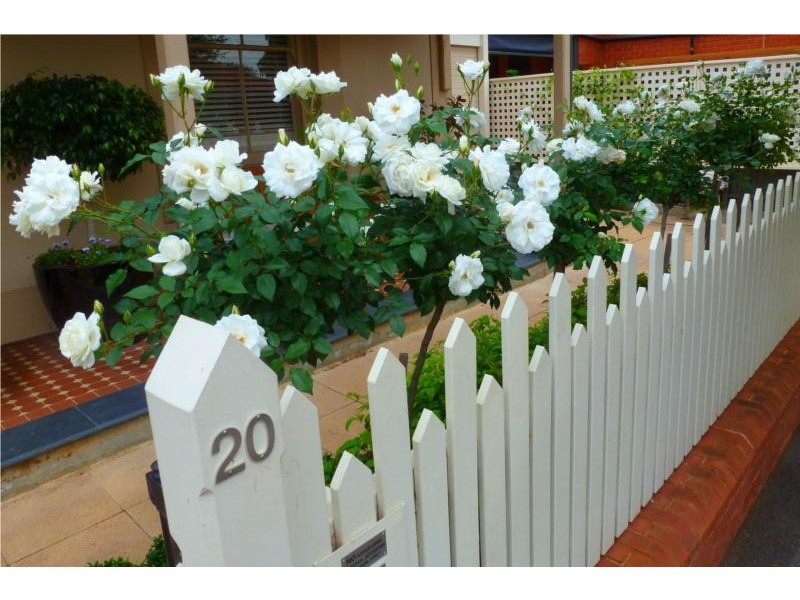 20 Ada Street, Goodwood SA 5034