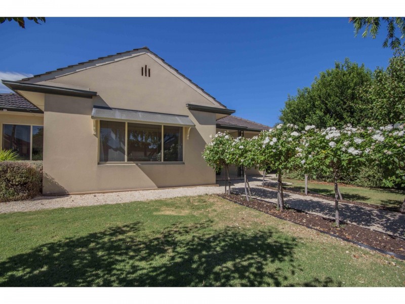 7 Ellen Street, Richmond SA 5033