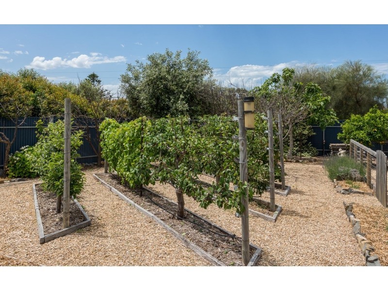 29 Goolwa Road, Middleton SA 5213