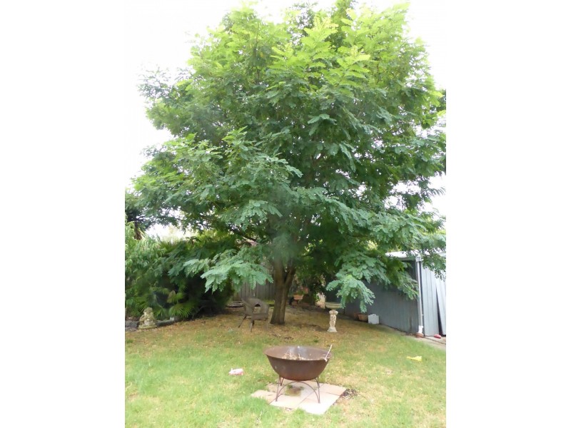 Cannons Creek VIC 3977