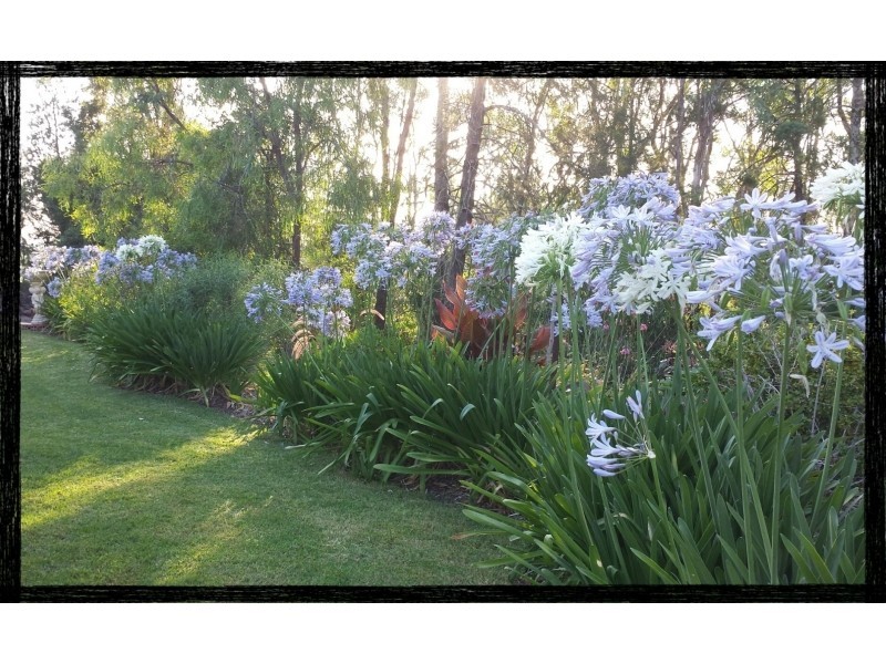 30 Young Road, Stoneleigh QLD 4356