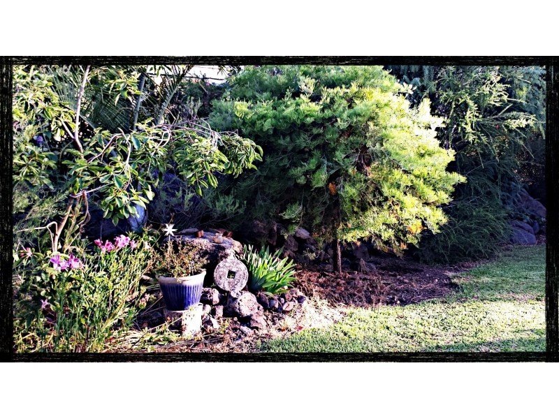 30 Young Road, Stoneleigh QLD 4356