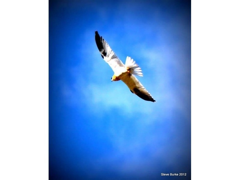 30 Young Road, Stoneleigh QLD 4356