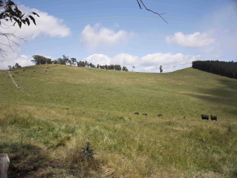 390 Kangaroo Track, Cassilis VIC 3898