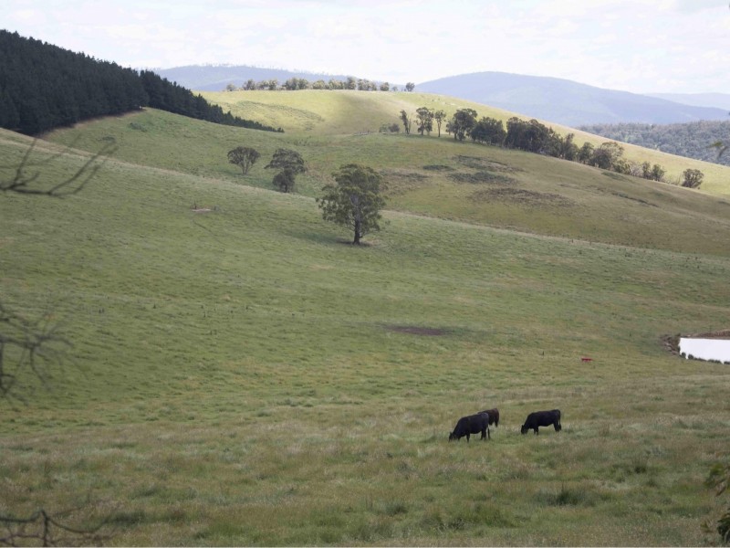 390 Kangaroo Track, Cassilis VIC 3898