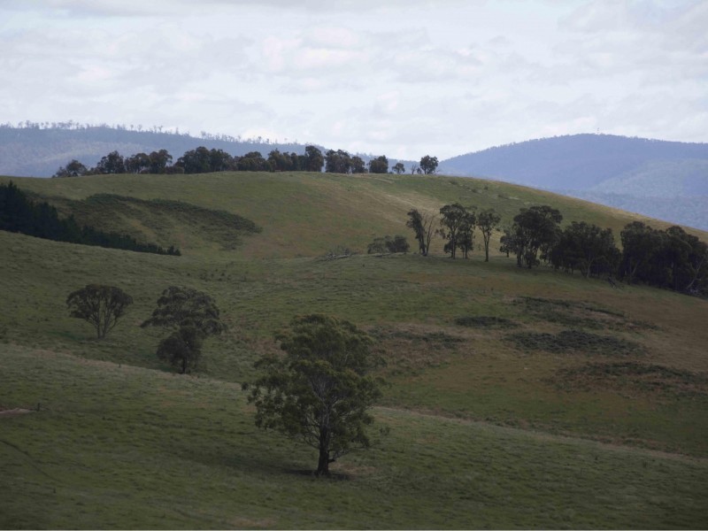 390 Kangaroo Track, Cassilis VIC 3898