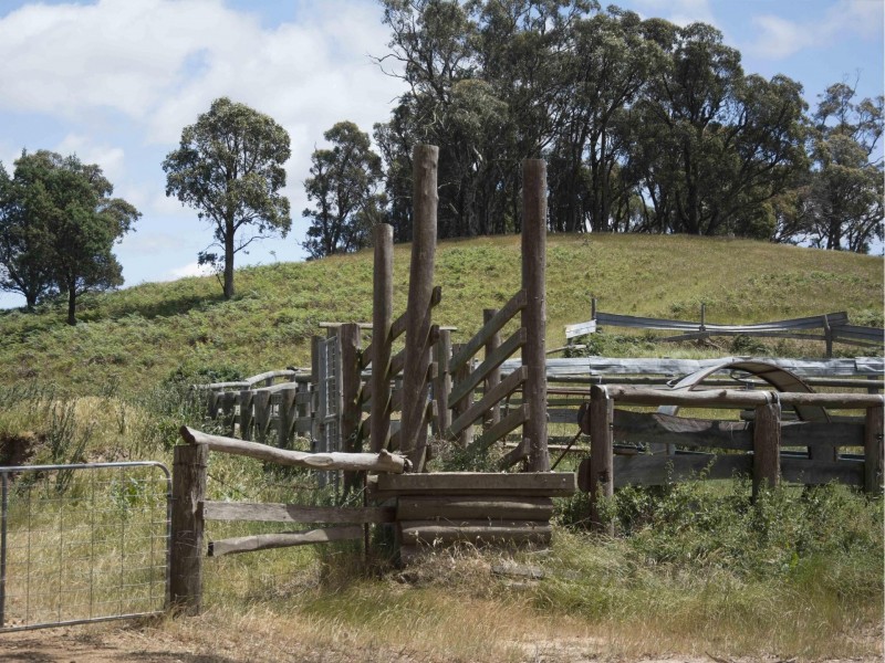 390 Kangaroo Track, Cassilis VIC 3898