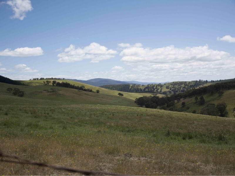 390 Kangaroo Track, Cassilis VIC 3898