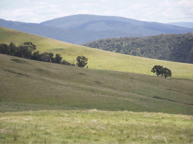 390 Kangaroo Track, Cassilis VIC 3898