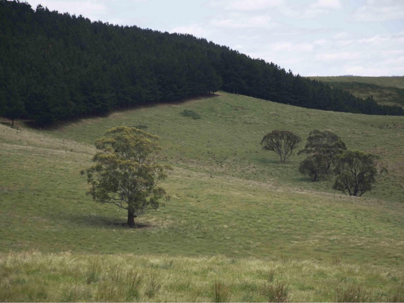 390 Kangaroo Track, Cassilis VIC 3898