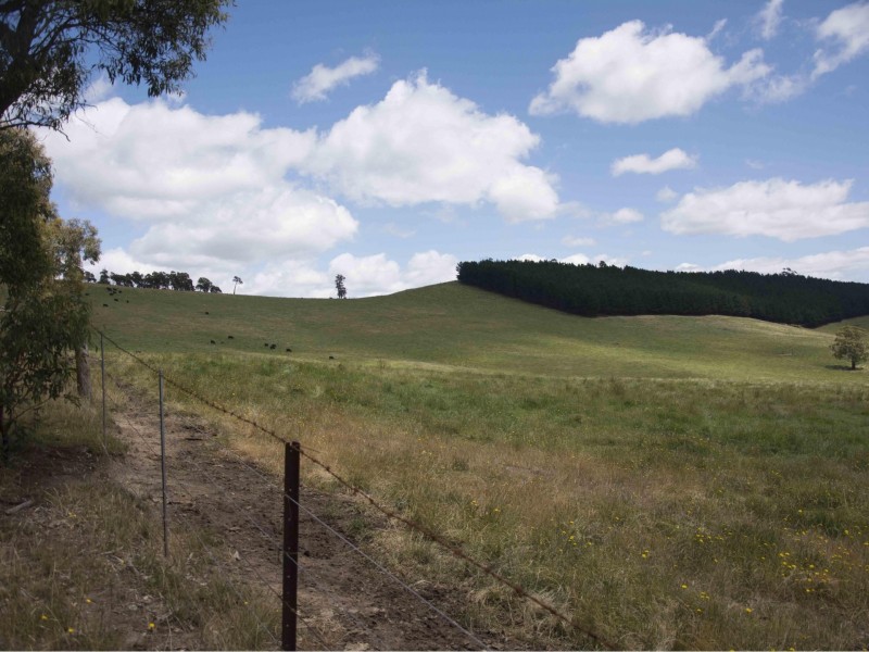 390 Kangaroo Track, Cassilis VIC 3898