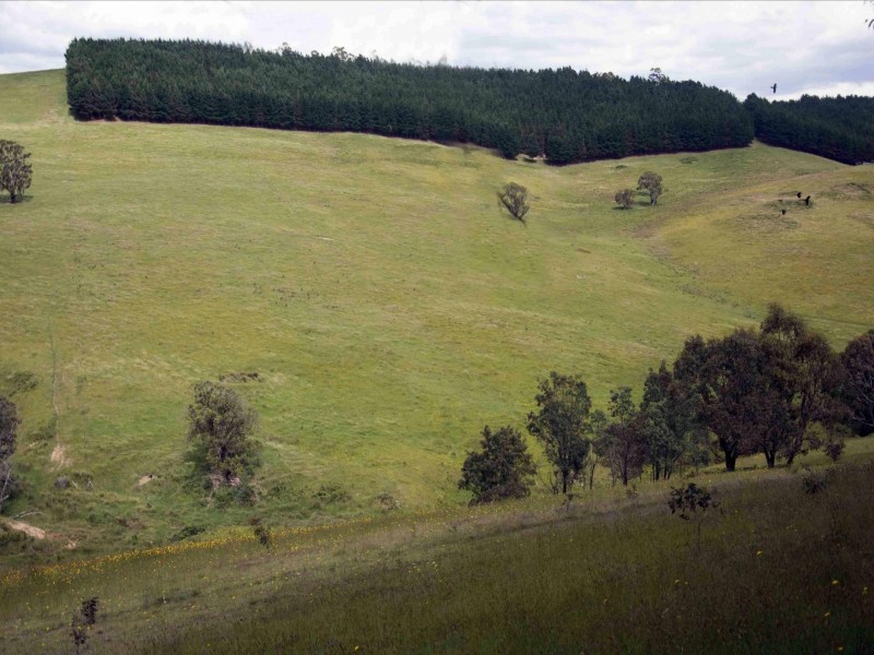 390 Kangaroo Track, Cassilis VIC 3898