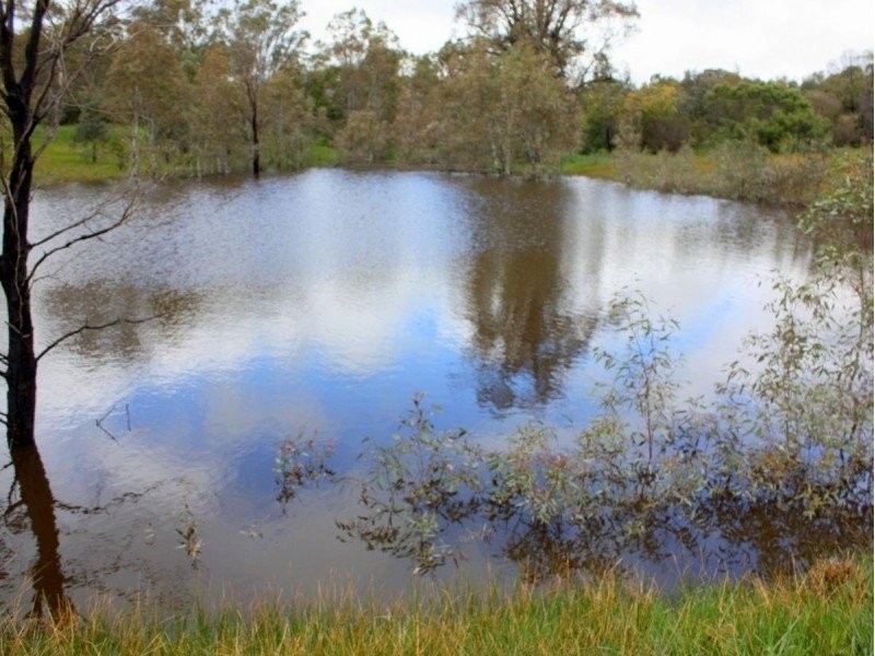 109 Pinjarra Drive, Lockwood South VIC 3551