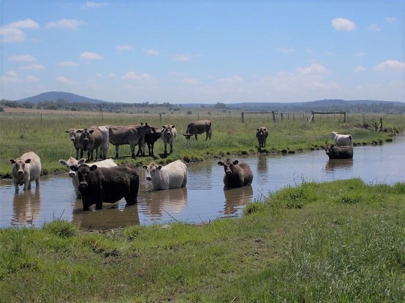 472 Saint Helens Road, Springside QLD 4356