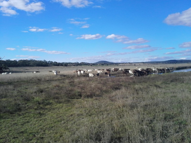 472 Saint Helens Road, Springside QLD 4356