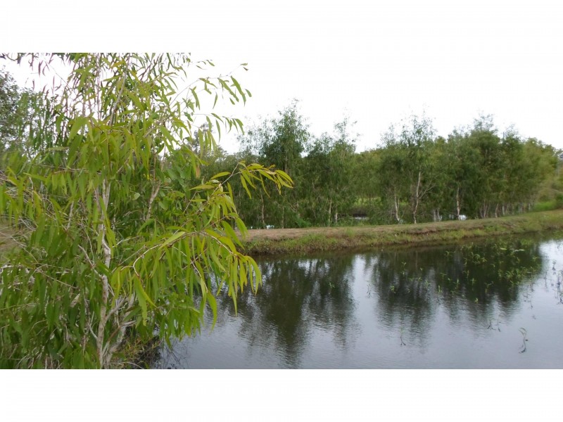 880/882 Kelsey Creek Road, Proserpine QLD 4800