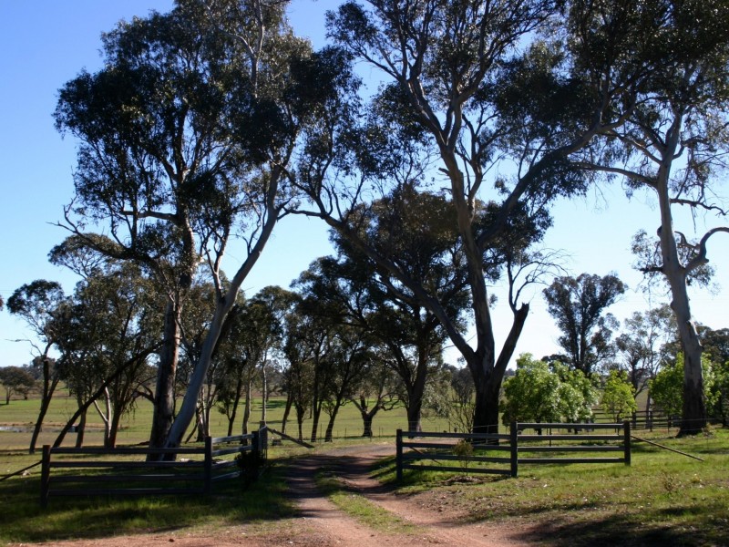 951 Grafton Road, Armidale NSW 2350