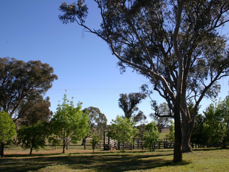 951 Grafton Road, Armidale NSW 2350