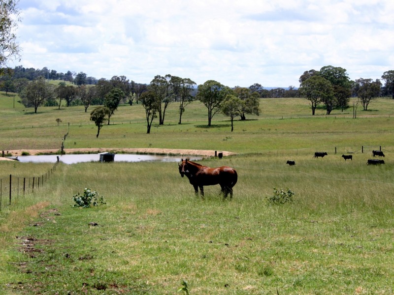 951 Grafton Road, Armidale NSW 2350