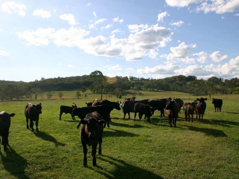 951 Grafton Road, Armidale NSW 2350