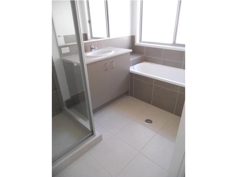 16 Hibbertia Street, Mountain Creek QLD 4557