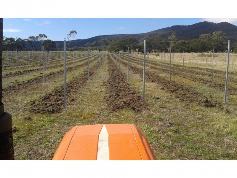 1100 Coles Bay Road, Coles Bay TAS 7215