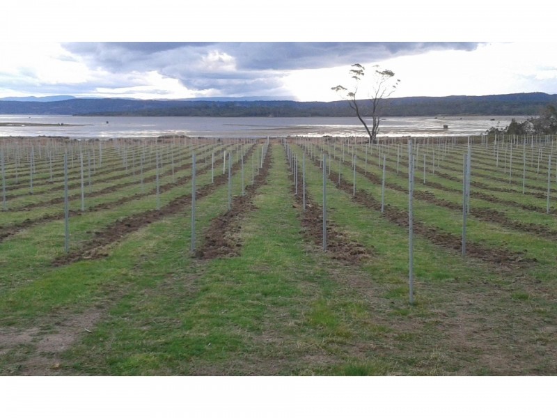 1100 Coles Bay Road, Coles Bay TAS 7215