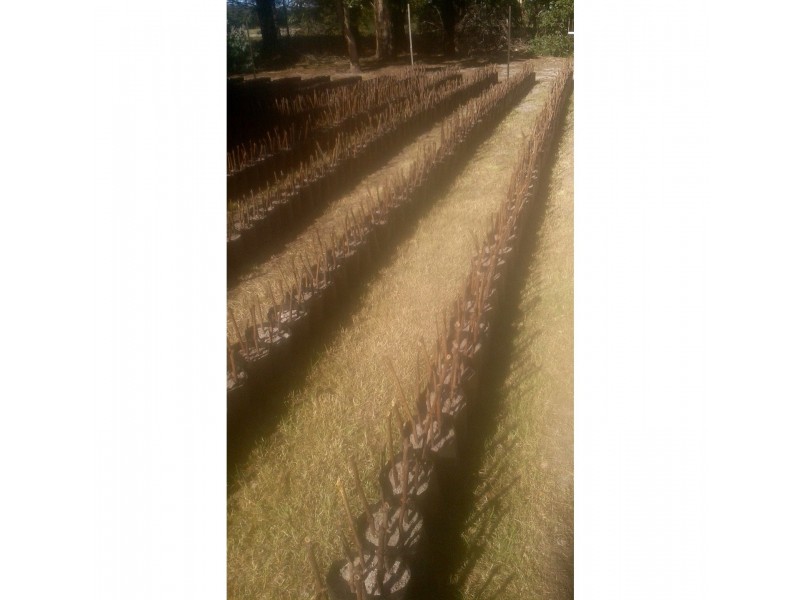 1100 Coles Bay Road, Coles Bay TAS 7215