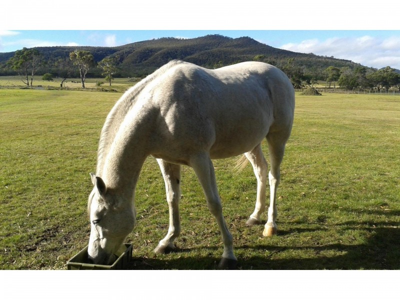 1100 Coles Bay Road, Coles Bay TAS 7215