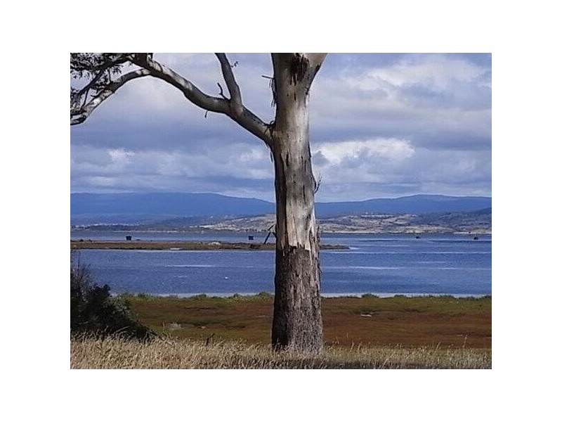 1100 Coles Bay Road, Coles Bay TAS 7215
