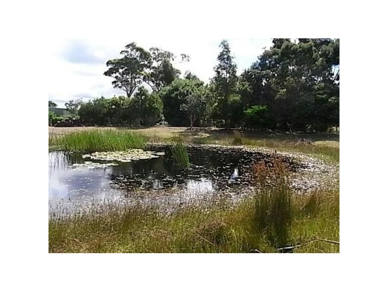 1100 Coles Bay Road, Coles Bay TAS 7215