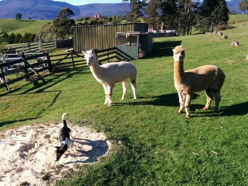 61 Hamptons Road, Meander TAS 7304